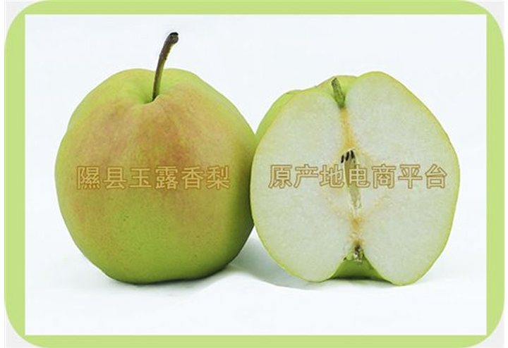 玉露香梨
