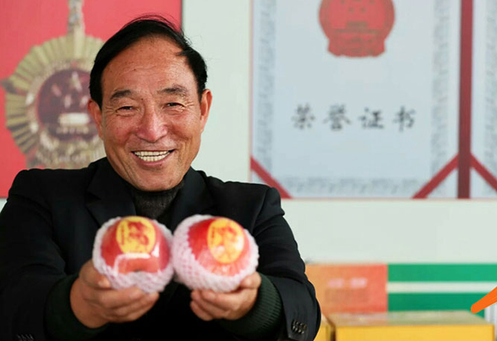王万保运城苹果